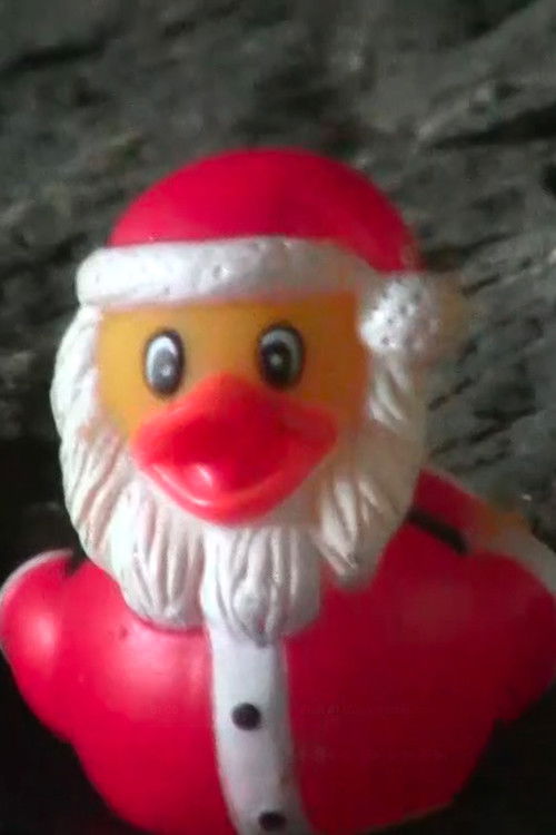 Duck Santa (2025) poster