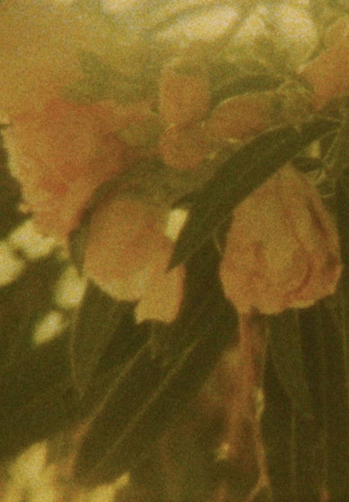 Seasons/Patterns (2020) poster