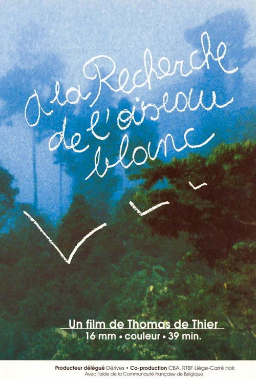 A la recherche de l'oiseau blanc (1996) poster