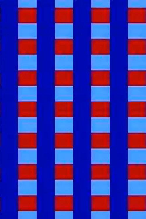 Video Ravingz (2002) poster