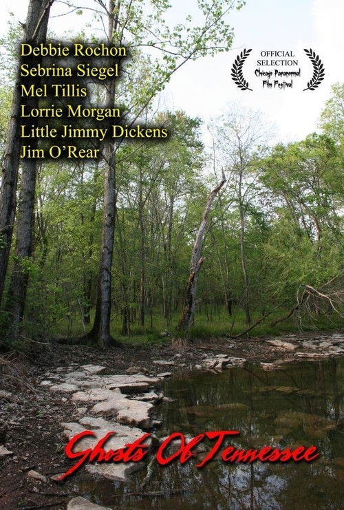Ghosts of Tennessee (2011) poster