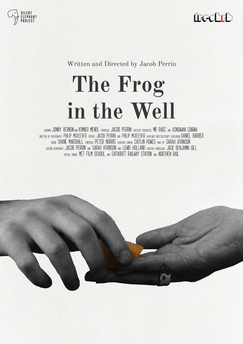 The Frog in The Well (2025) poster
