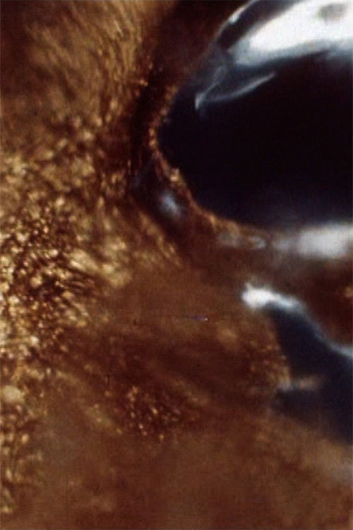 Black Ice (1967) poster