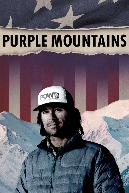 Purple Mountains (2020) poster