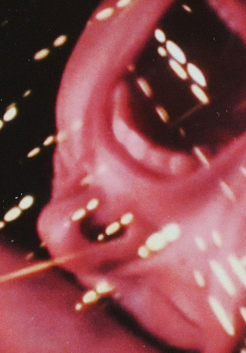 Other States (2013) poster