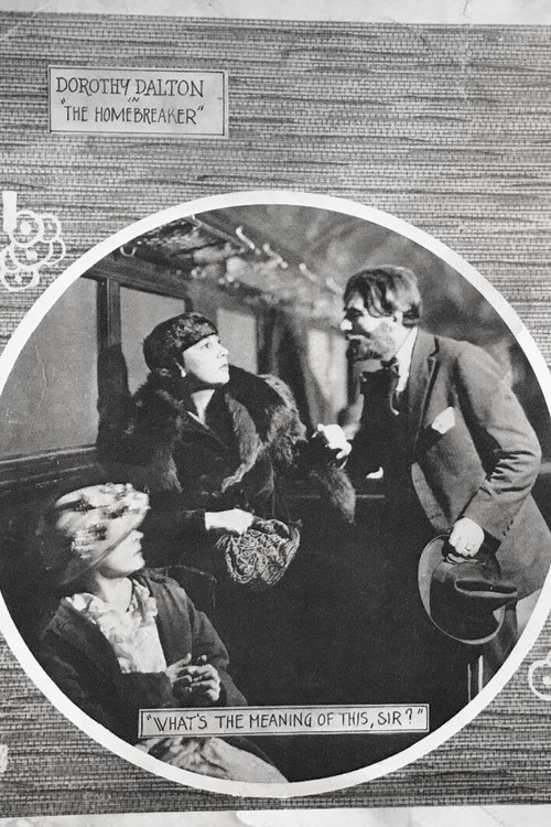 The Homebreaker (1919) poster