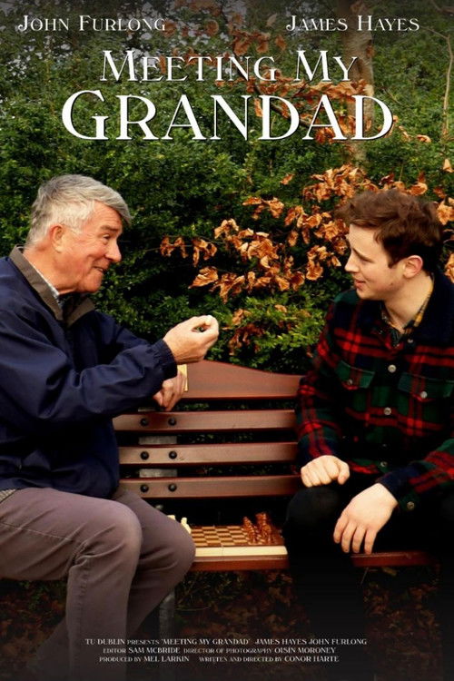 Meeting My Grandad (2025) poster