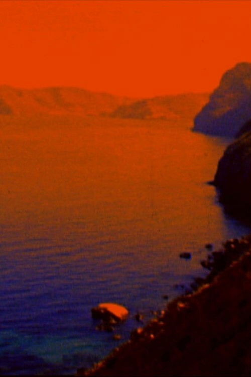 Invisible Forces (2017) poster