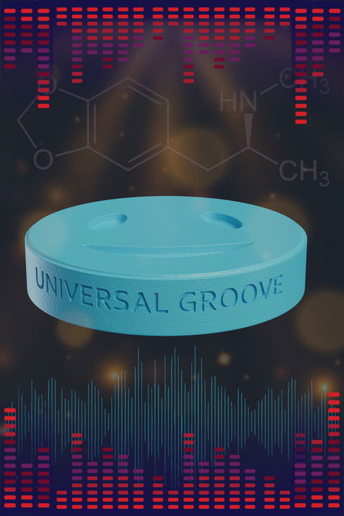 Universal Groove (2024) poster