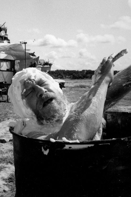 En dag på stranden (1993) poster