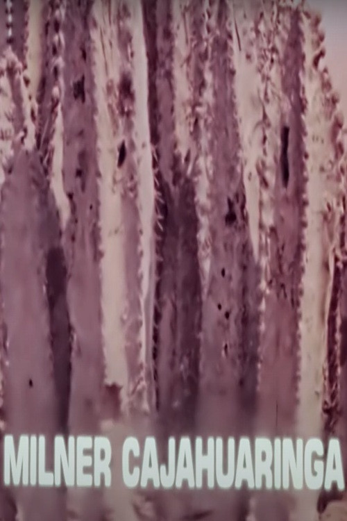 Milner Cajahuaringa poster