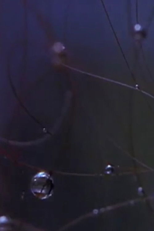 Golden Hour (2009) poster