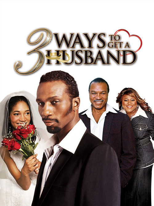 3 Ways to Get a Husband (2010) poster