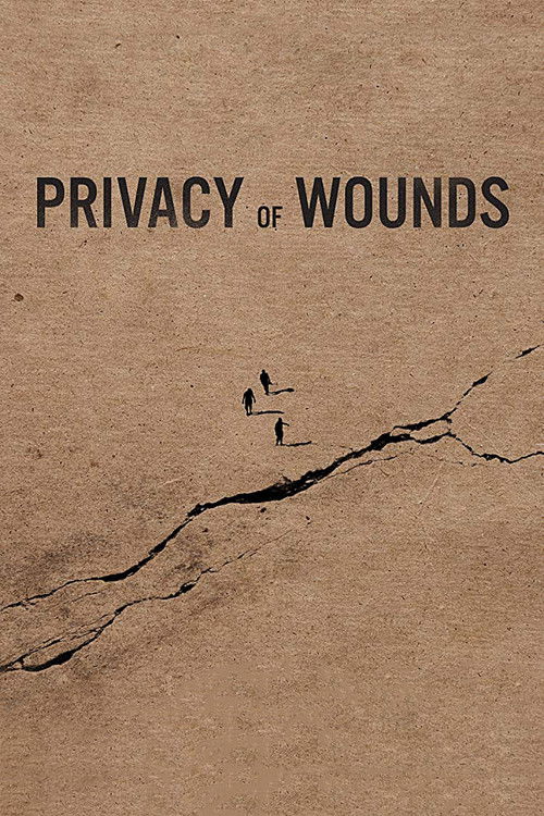 Privacy of Wounds (2018) poster