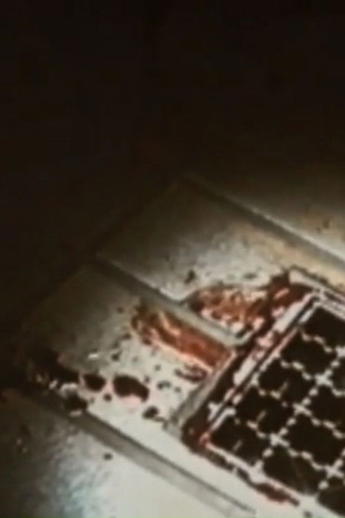 Science (1998) poster