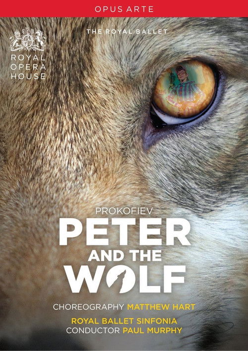 Peter & The Wolf (2011) poster