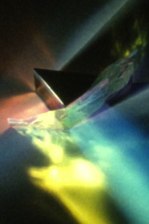 Fluid Fragments (2023) poster