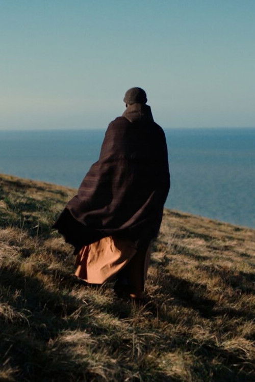 A HORIZON (2022) poster