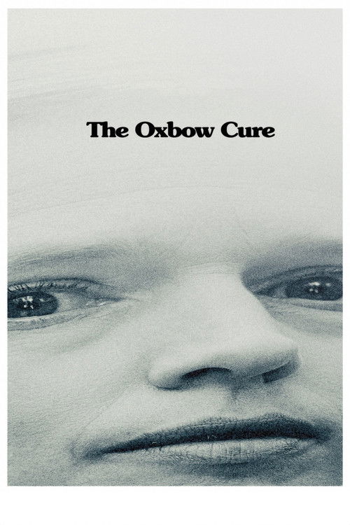 The Oxbow Cure (2013) poster