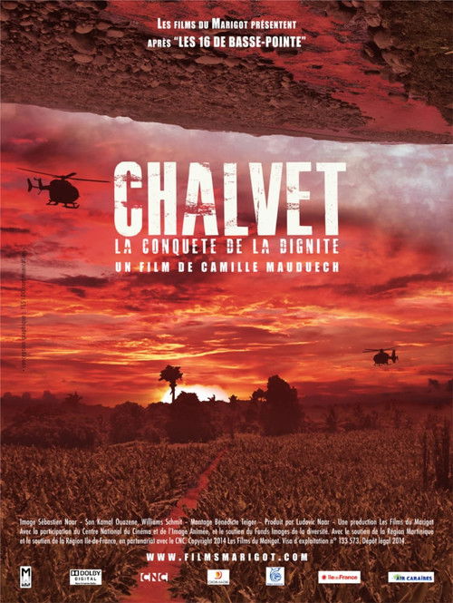 Chalvet, la conquête de la dignité (2014) poster
