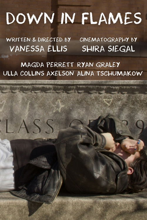 Down in Flames (2024) poster