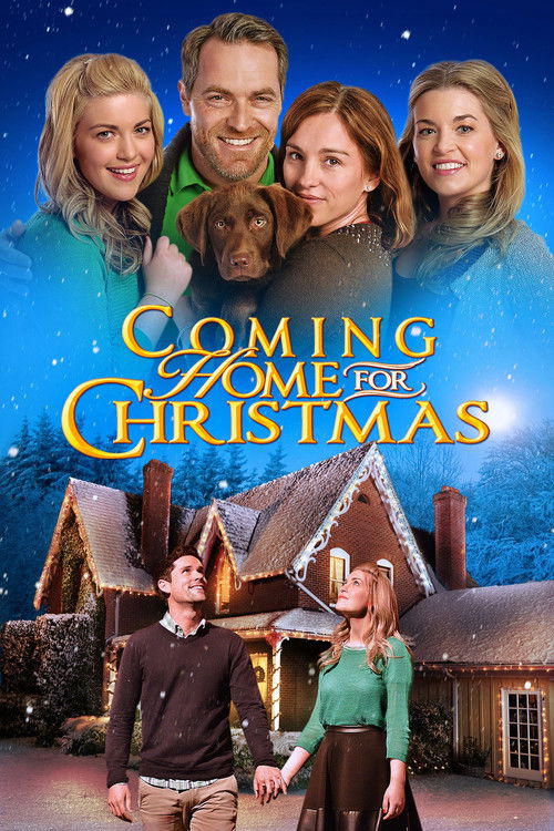 Coming Home for Christmas (2013) poster