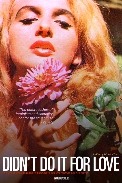 Didn't Do It For Love (1998) poster