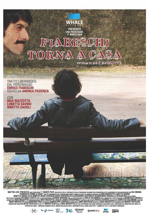 Fiabeschi torna a casa (2013) poster