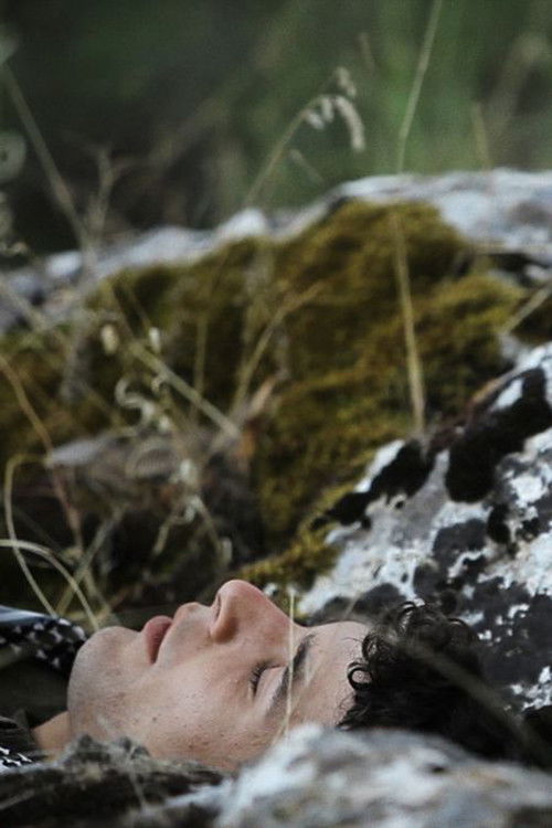 Meanwhile (2014) poster