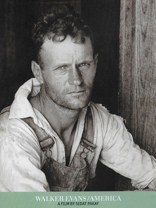 Walker Evans / America (2000) poster