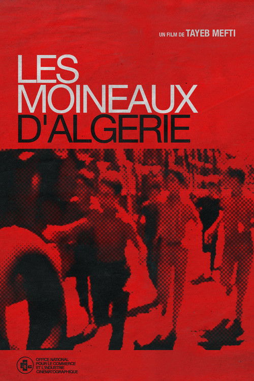 Les Moineaux d'Algérie (1979) poster