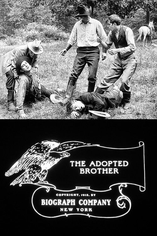 The Adopted Brother (1913) poster
