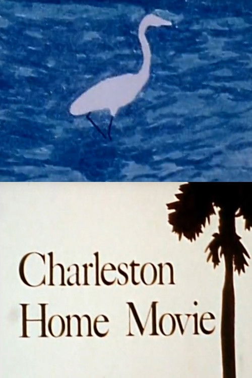 Charleston Home Movie (1980) poster