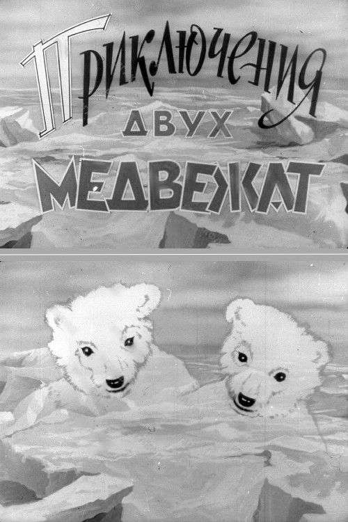 Adventures of Two Bear Cubs (1959) poster