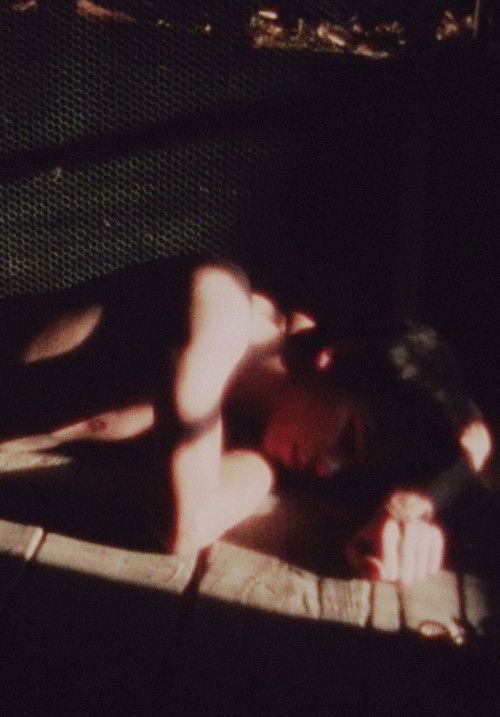 Rouges Silences (1979) poster