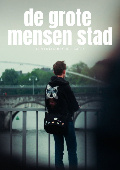 De Grote Mensen Stad (2026) poster