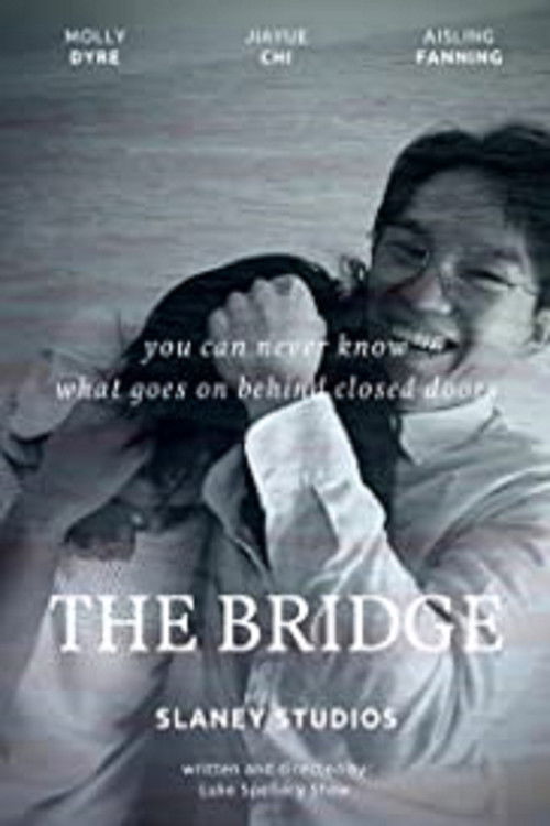 The Bridge (2021) poster