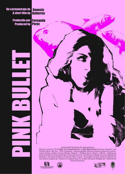 Pink Bullet (2023) poster