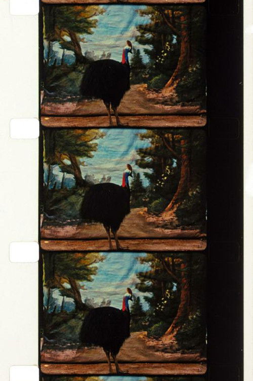 Cassowary (2010) poster