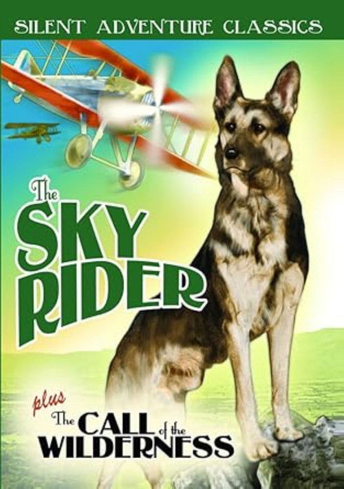 The Sky Rider (1928) poster
