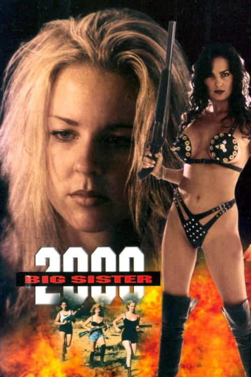 Big Sister 2000 (1995) poster