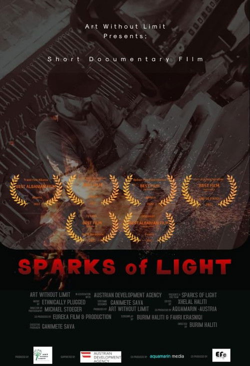 Sparks of Light (2022) poster