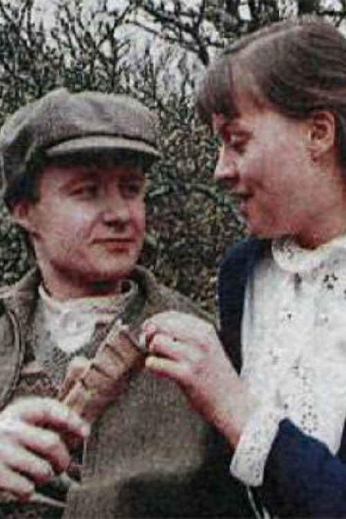 Litbrigði jarðarinnar (1991) poster