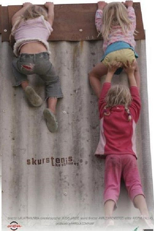 The Chimney (2013) poster