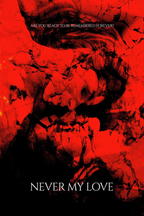 Never My Love (2025) poster