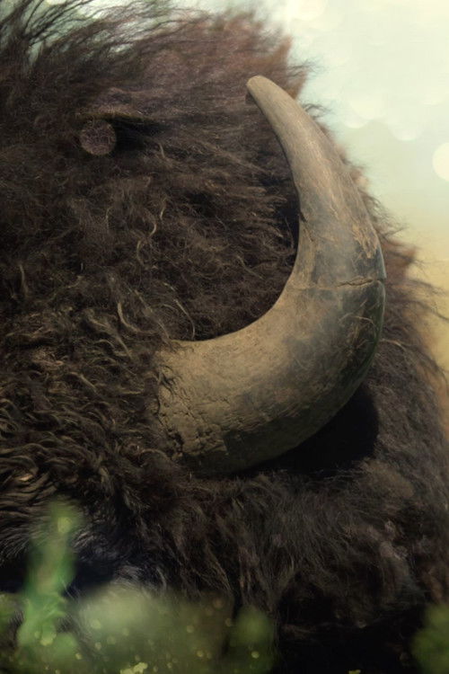 Phainesthai (2018) poster