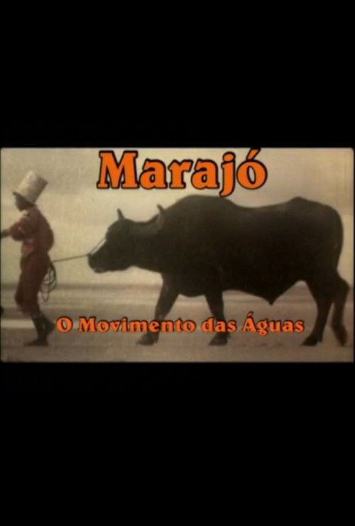 Marajó: A Origem das Águas (2010) poster