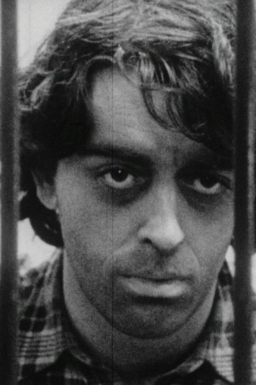 The Mirage (1981) poster