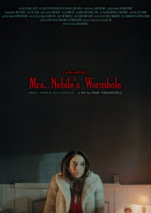 Nebile Hanım'ın Solucan Deliği (2016) poster