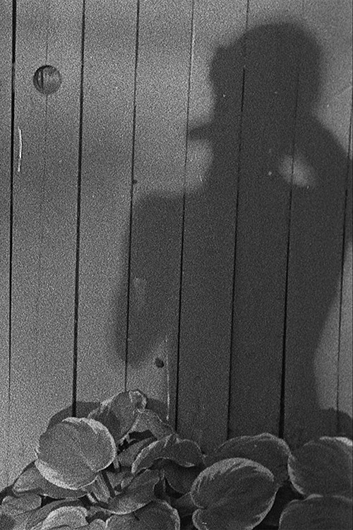 Feather Family (2023) poster